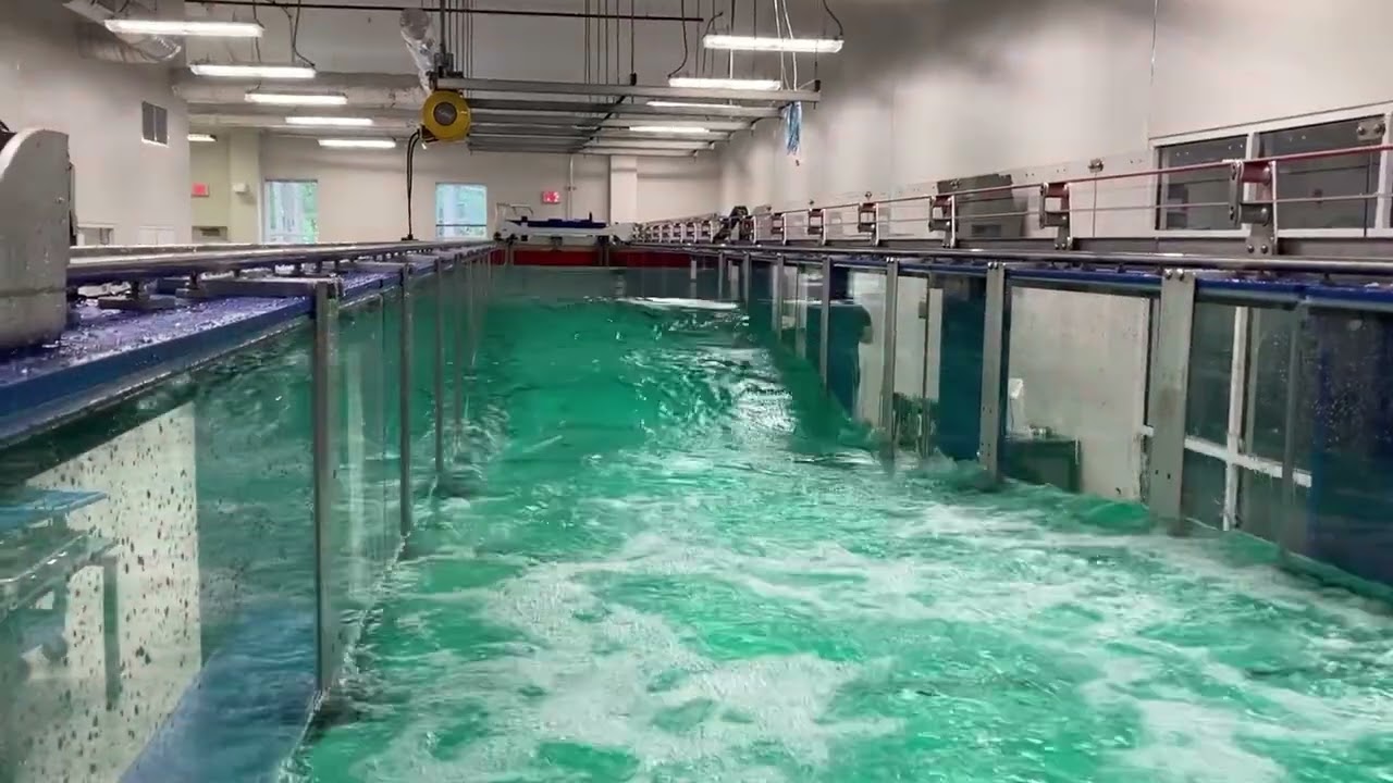 University of North Carolina Wilmington Linear Piston Wave Tank