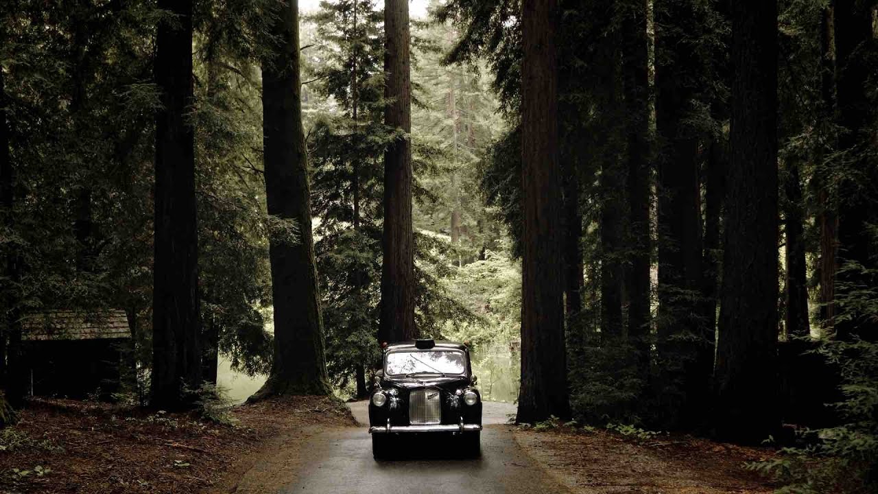 Wilderness of Love | Sean +Mercedes | Wedding Film