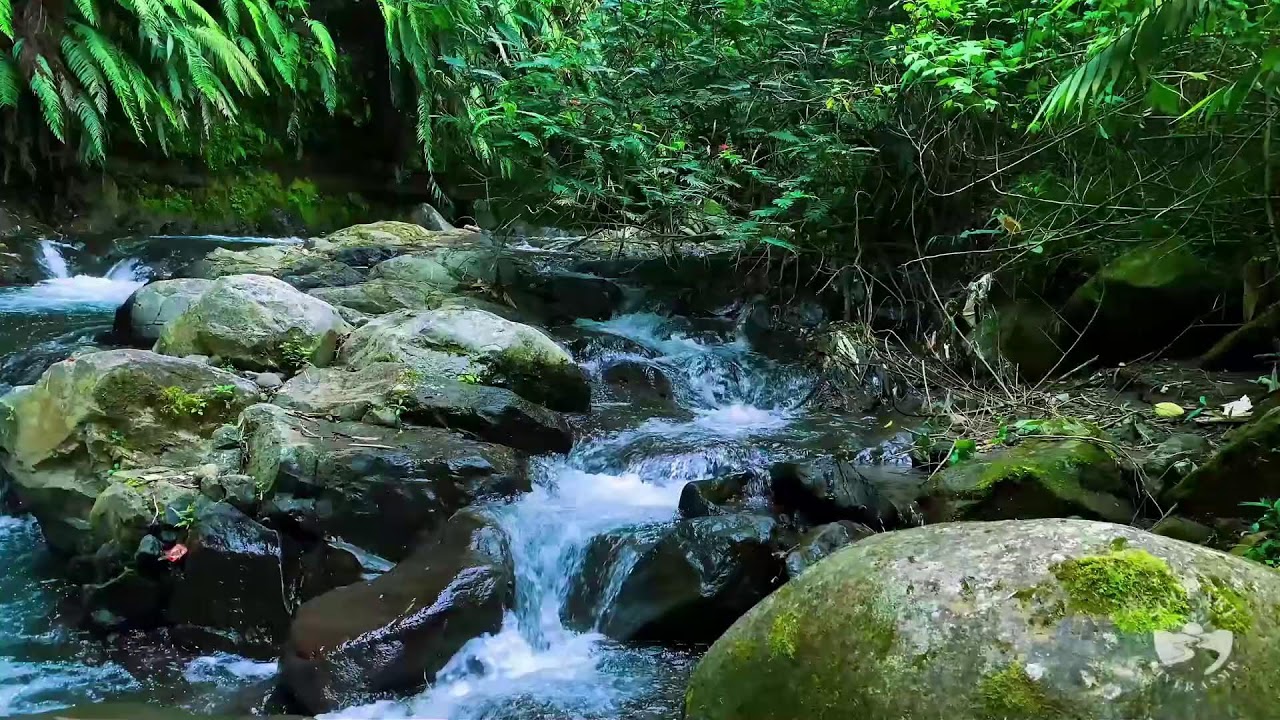 River Sounds for Sleeping. Waterfall Flowing Mountain Forest 24/7. Waterfall Sounds, White Noise #5