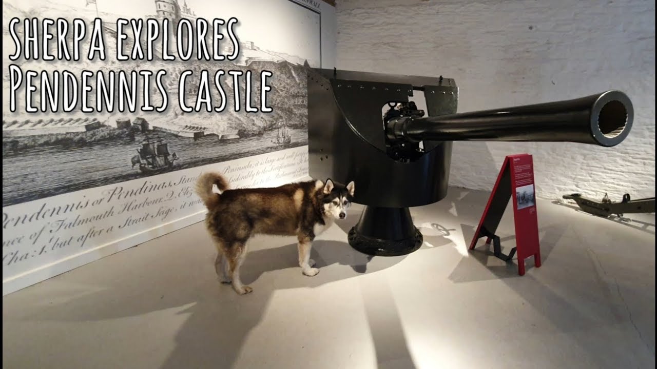 Exploring Pendennis castle in the UK | Sherpa's Historic tours