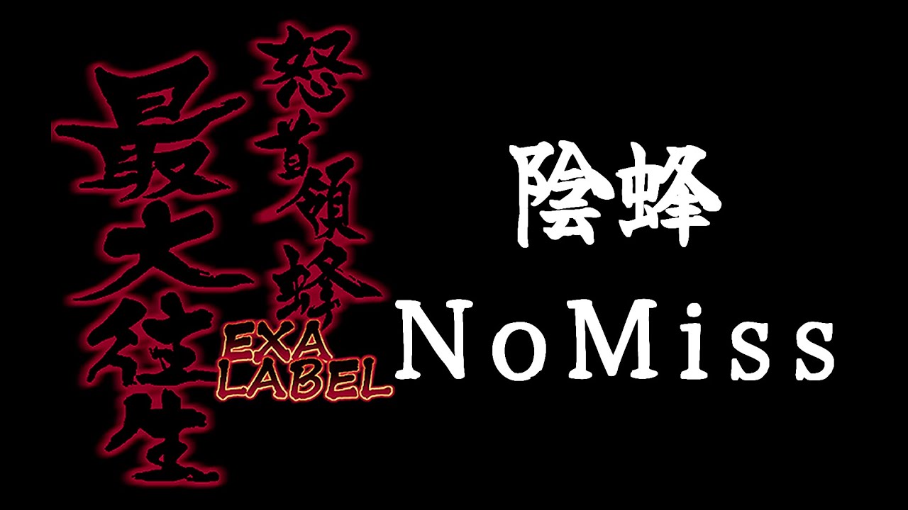 ☆概要欄必読☆ 【怒首領蜂最大往生 EXAレーベル】陰蜂 NoMiss  ☆概要欄必読☆