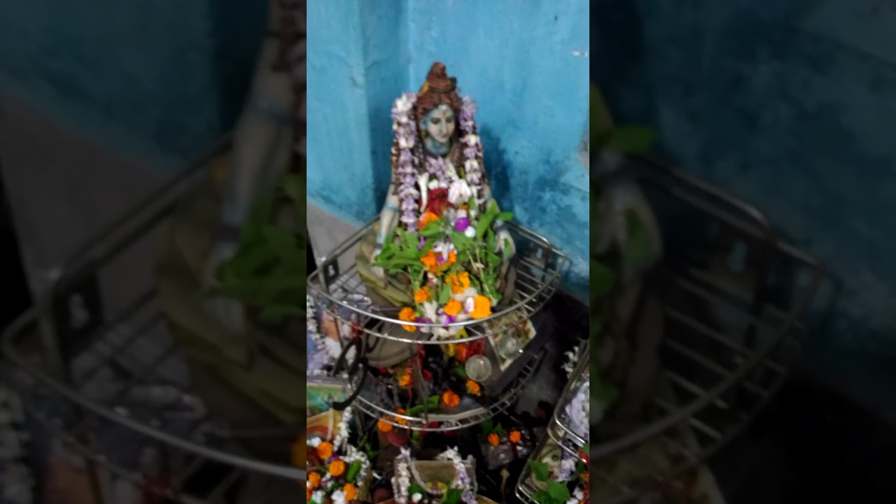 FALAHARINI KALIPUJA
