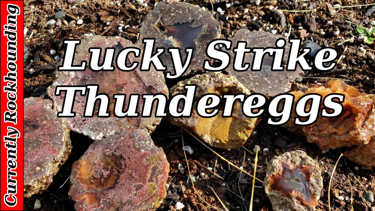 Digging Thundereggs at the Lucky Strike Mine