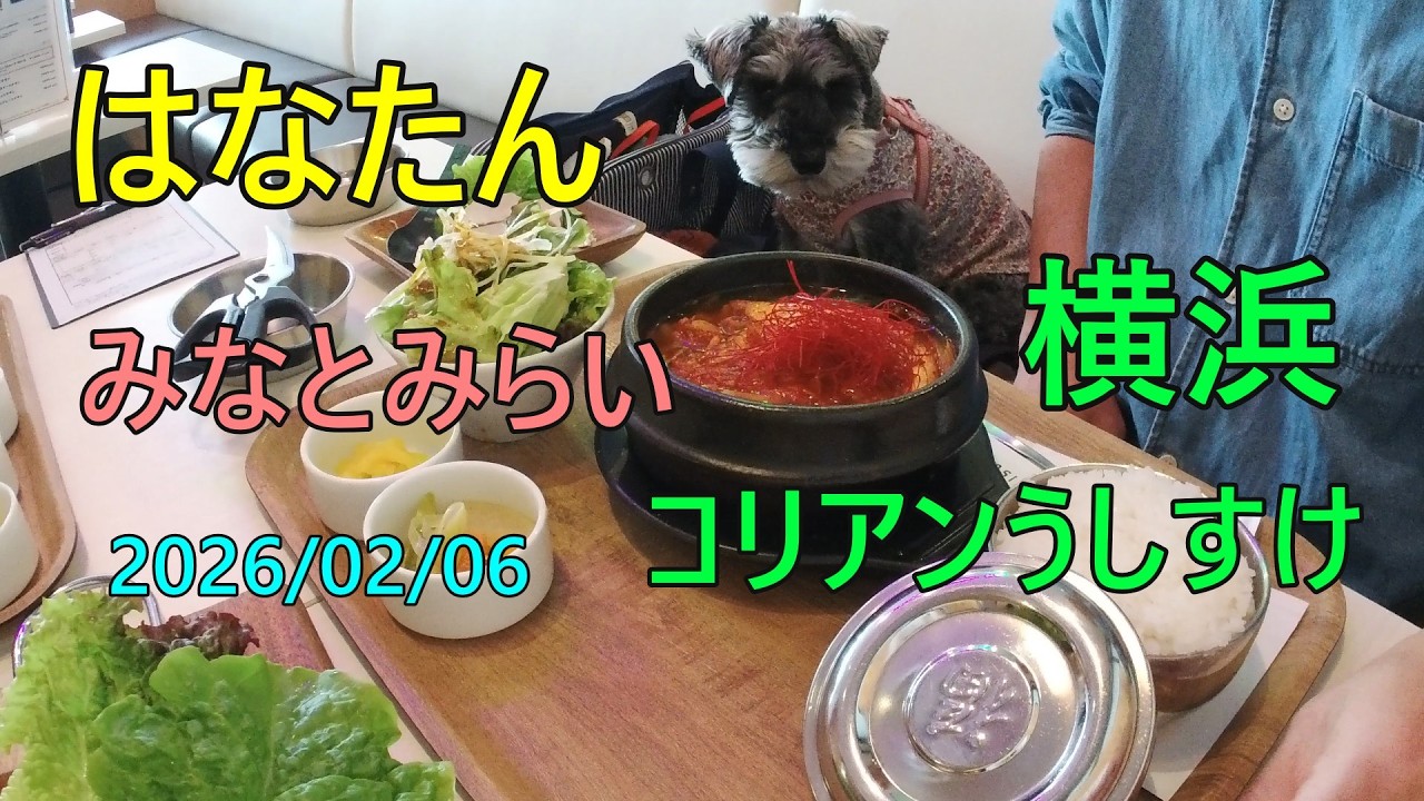 横浜 みなとみらい コリアンうしすけ(ワンちゃん店内OK)
