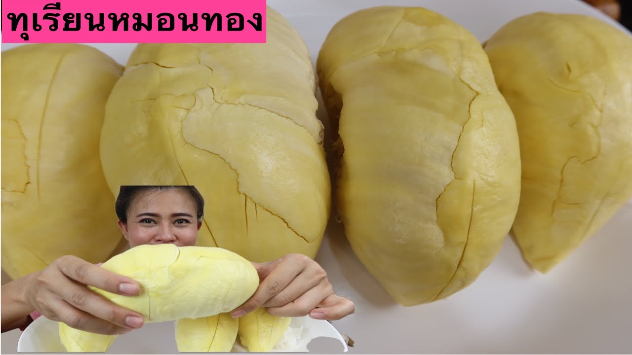 ทุเรียนหมอนทอง ร้านข้างทาง เนื้อดีกรอบนอกนุ่มใน ละมุนลิ้น สีสวย28/5/2021