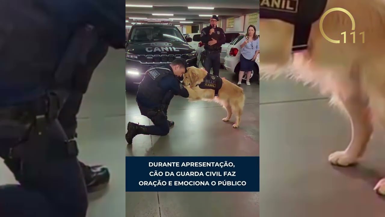 Cão da Guarda Civil se junta a agente em momento de oração e emociona