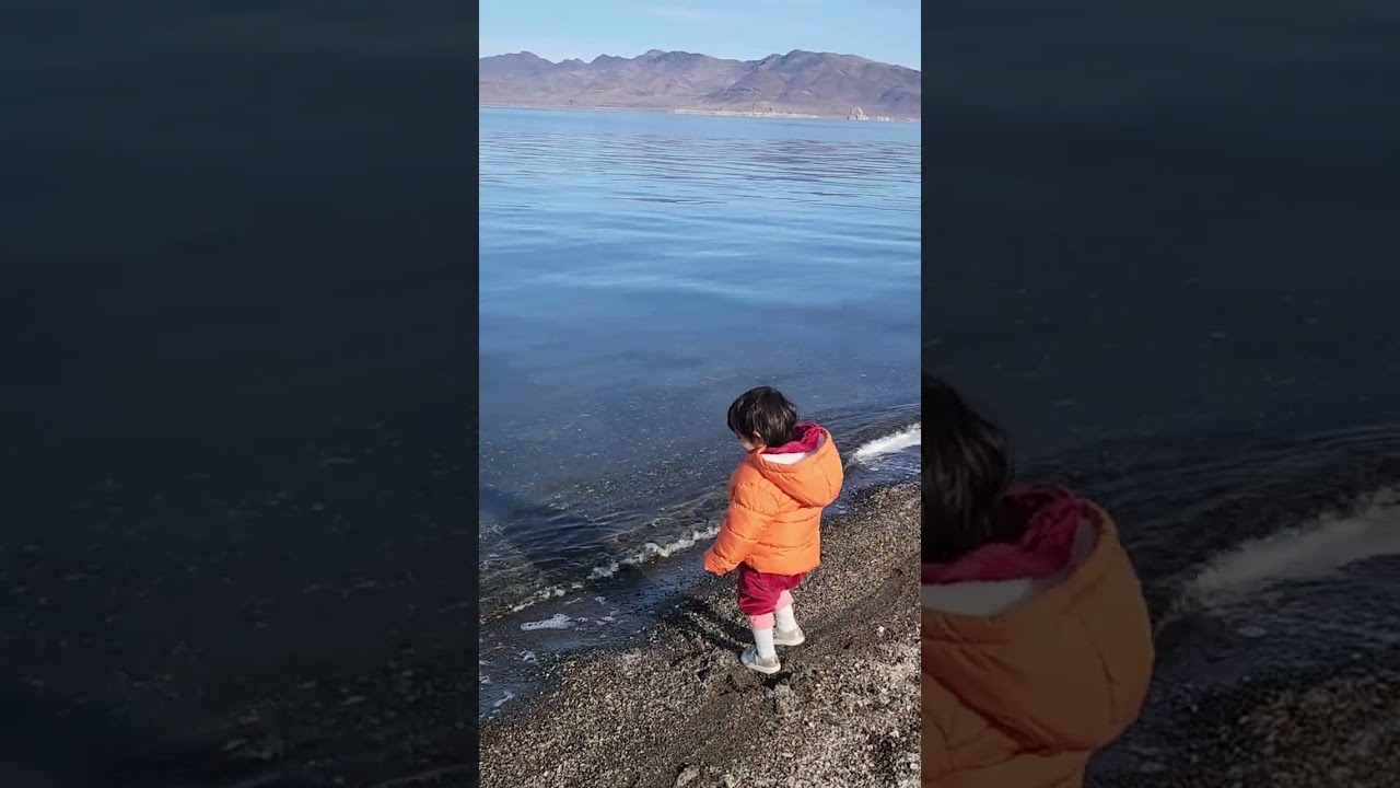January 25, 2026 — Ira’s day at Pyramid Lake 🌊✨#baby #pyramidlake