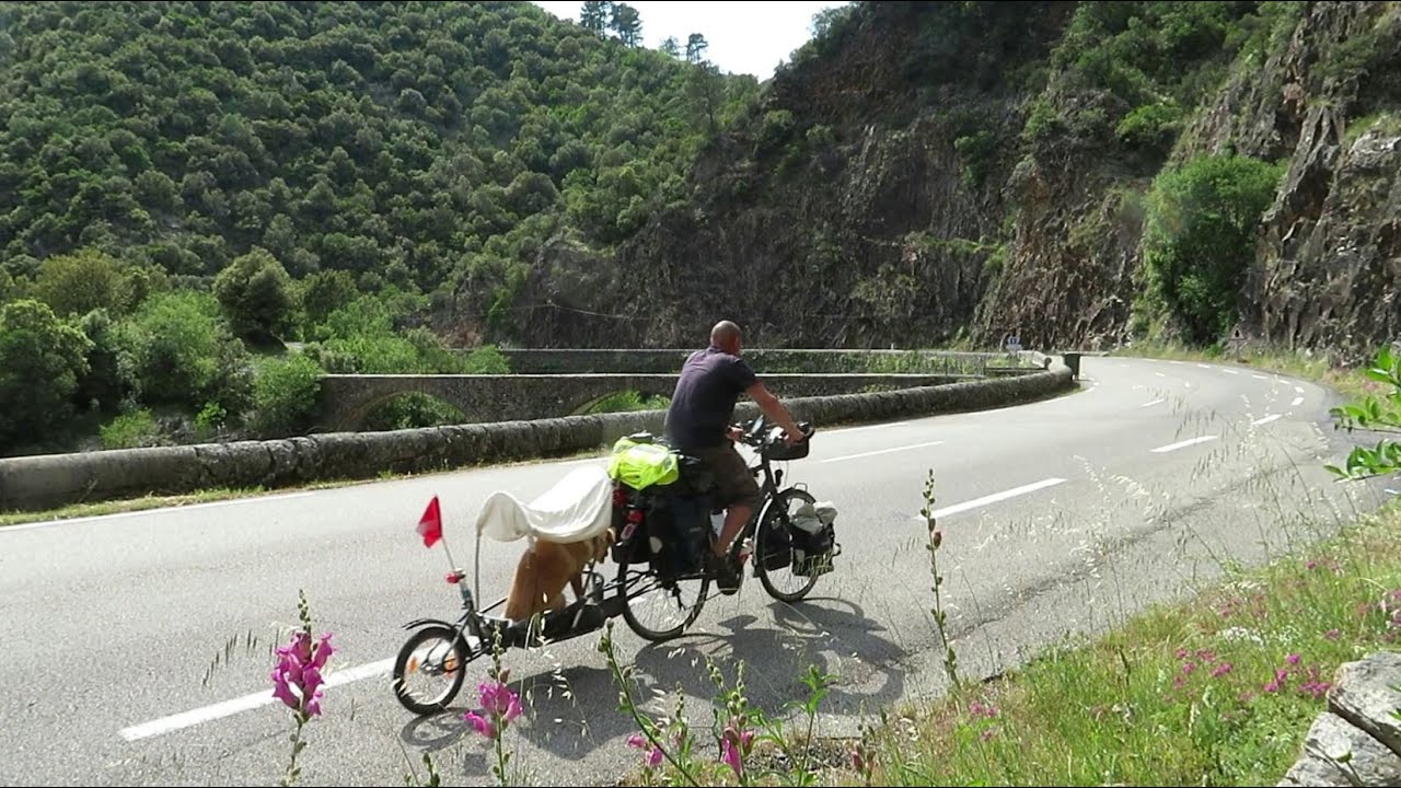 🐕🚲🌿 Voyage en Vélo avec mon Chien 2/6