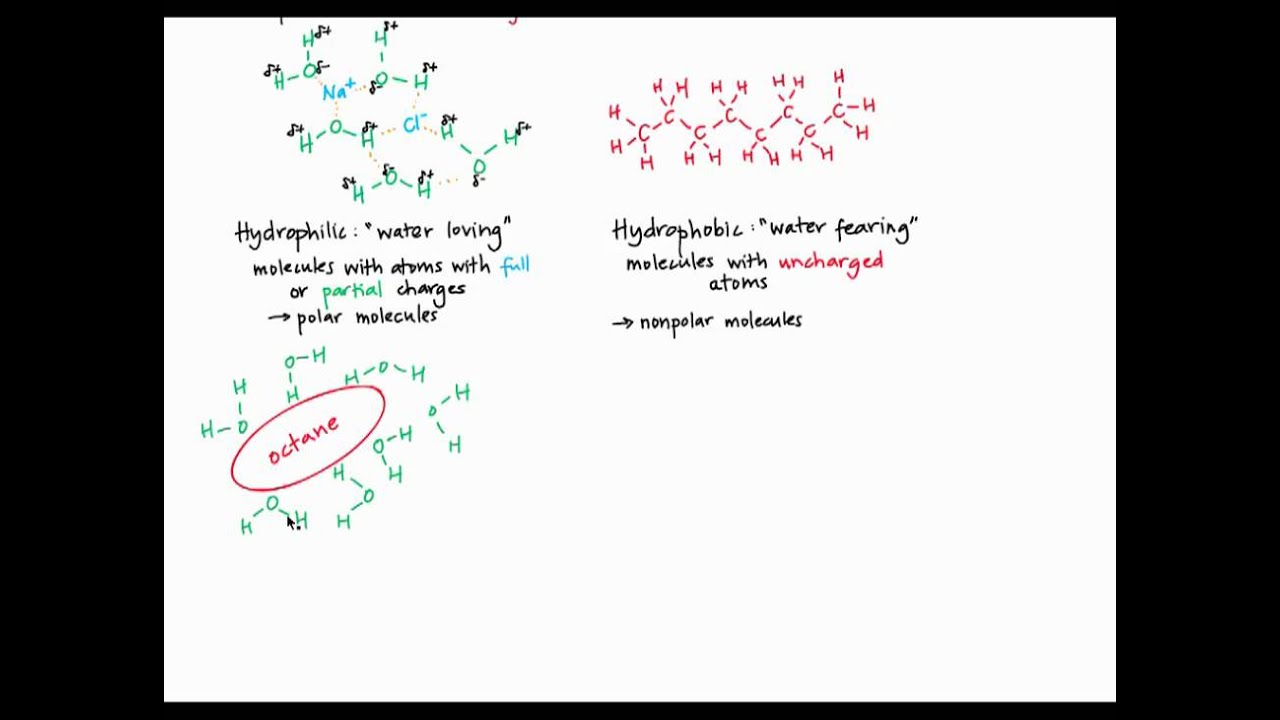 Hemoglobin.mp4