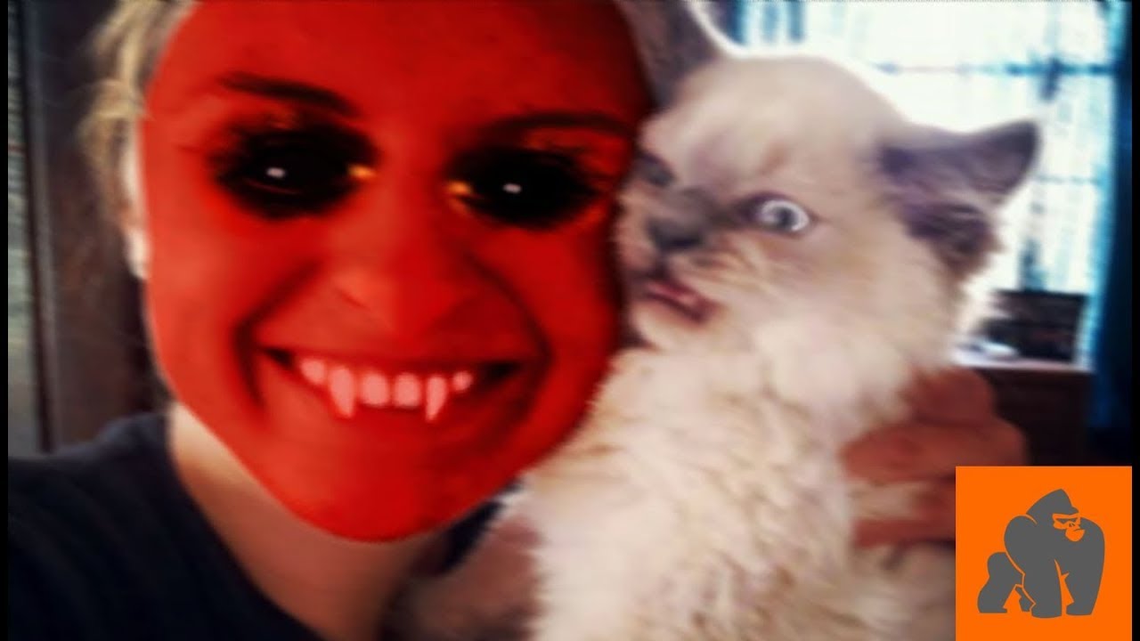 Funny Cats Scared of Masks - Part 2