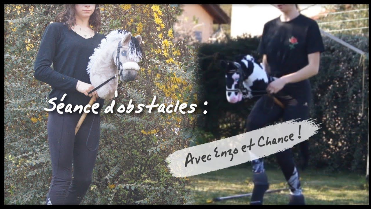 Scéance d'obstacles avec Chance et record battus avec Enzo !