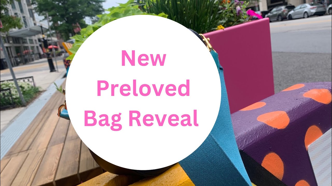 Anya Hindmarch  *Handbag Reveal* *Organization* *Best Travel Bag* *Best everyday luxury bag*