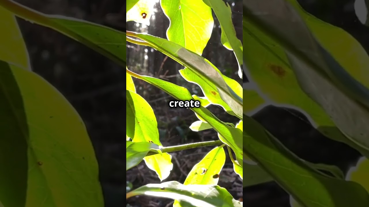 How Do Plants Survive UV Light Without Getting Burned 🌞🍃 #shorts #biology #nature #science