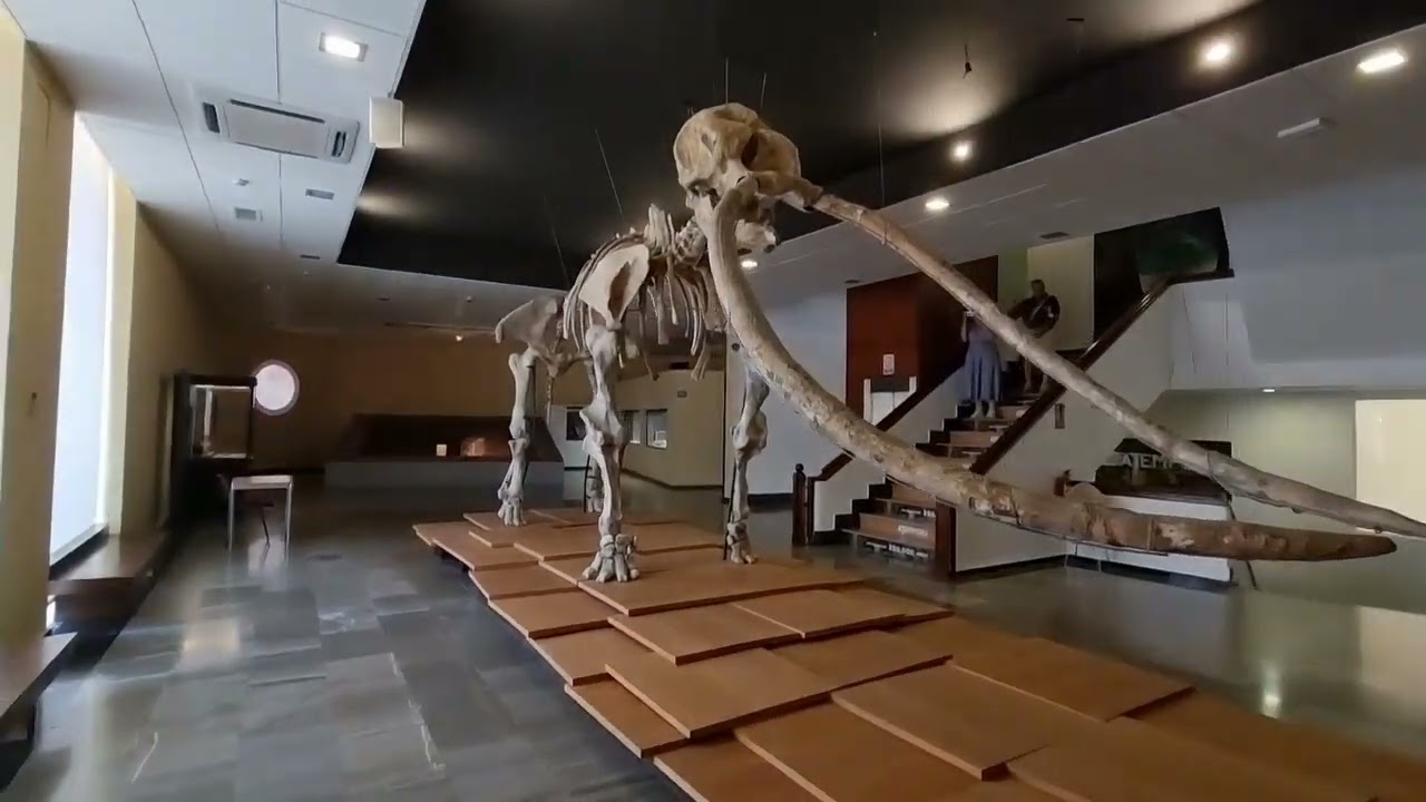 Visitamos el Museo Arqueológico de Ciudad Real.