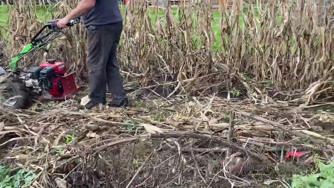Flail Mowing Corn Stocks