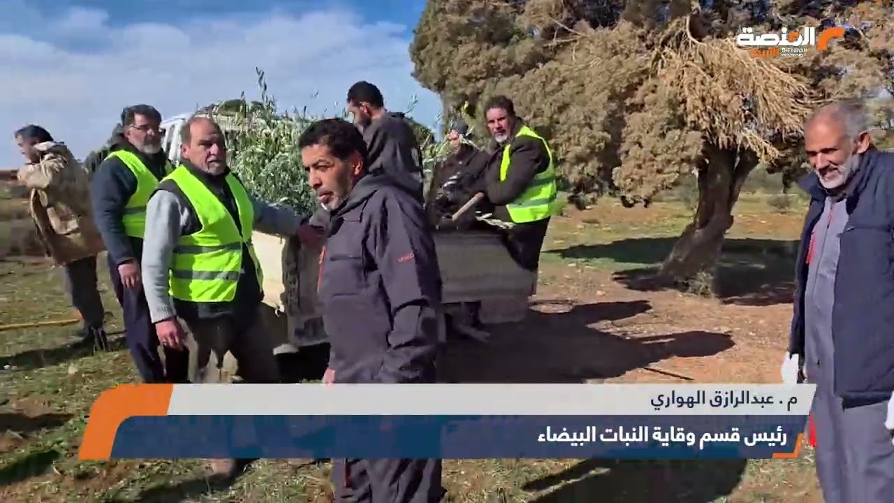قطاع الزراعة بالجبل الأخضر يواصل غرس الزيتون في المزارع المسيّجة