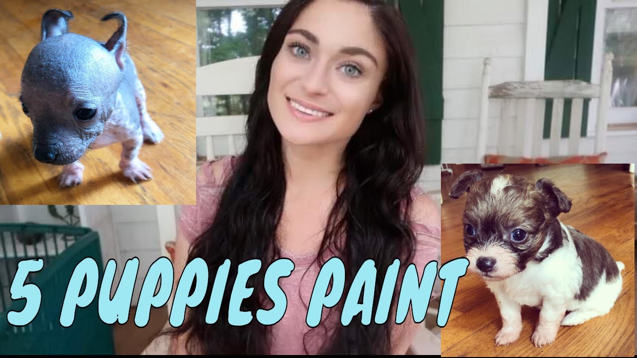 My Foster Puppies Painting