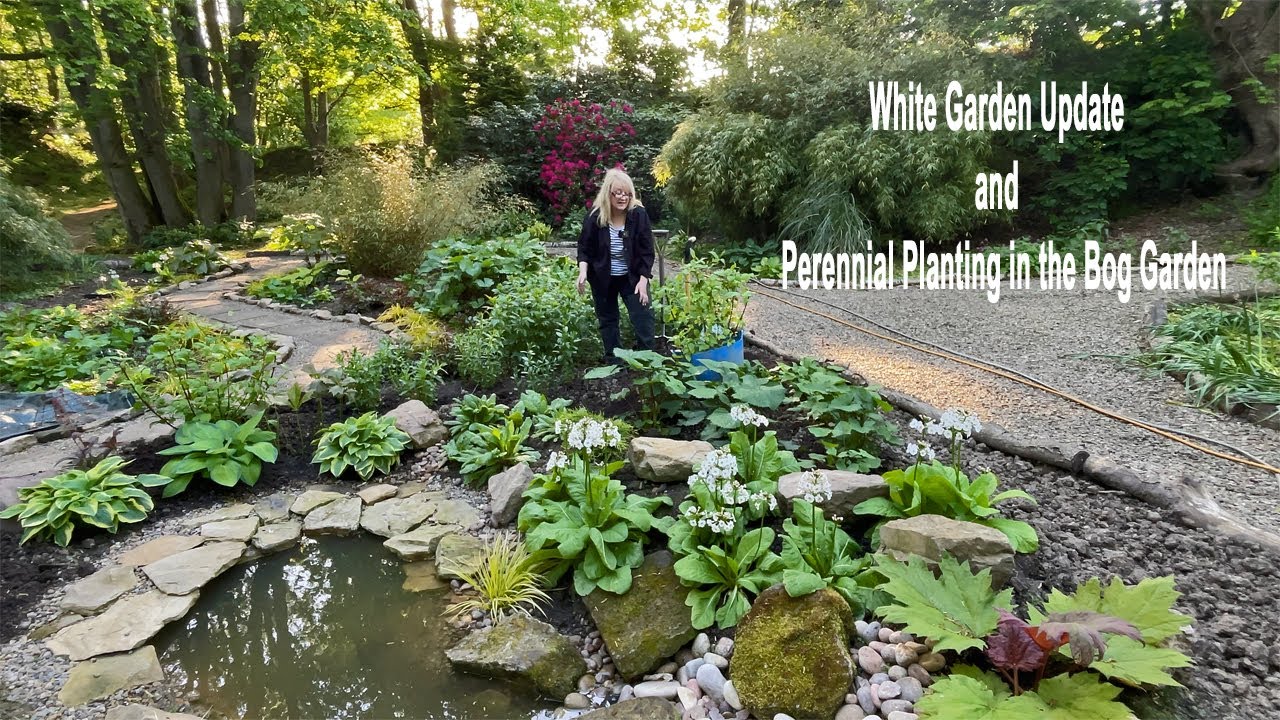 White garden update