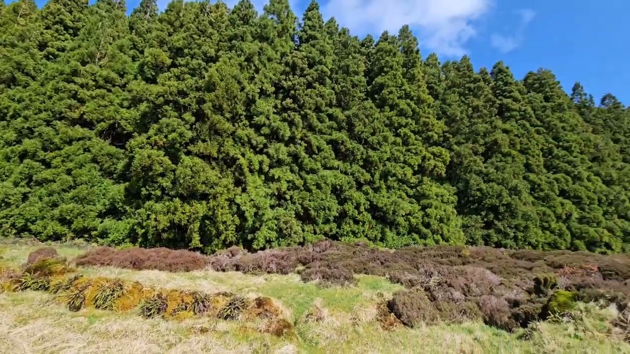 Mistérios Negros Trail (1) 🇵🇹 .. Terceira Island,  Azores 