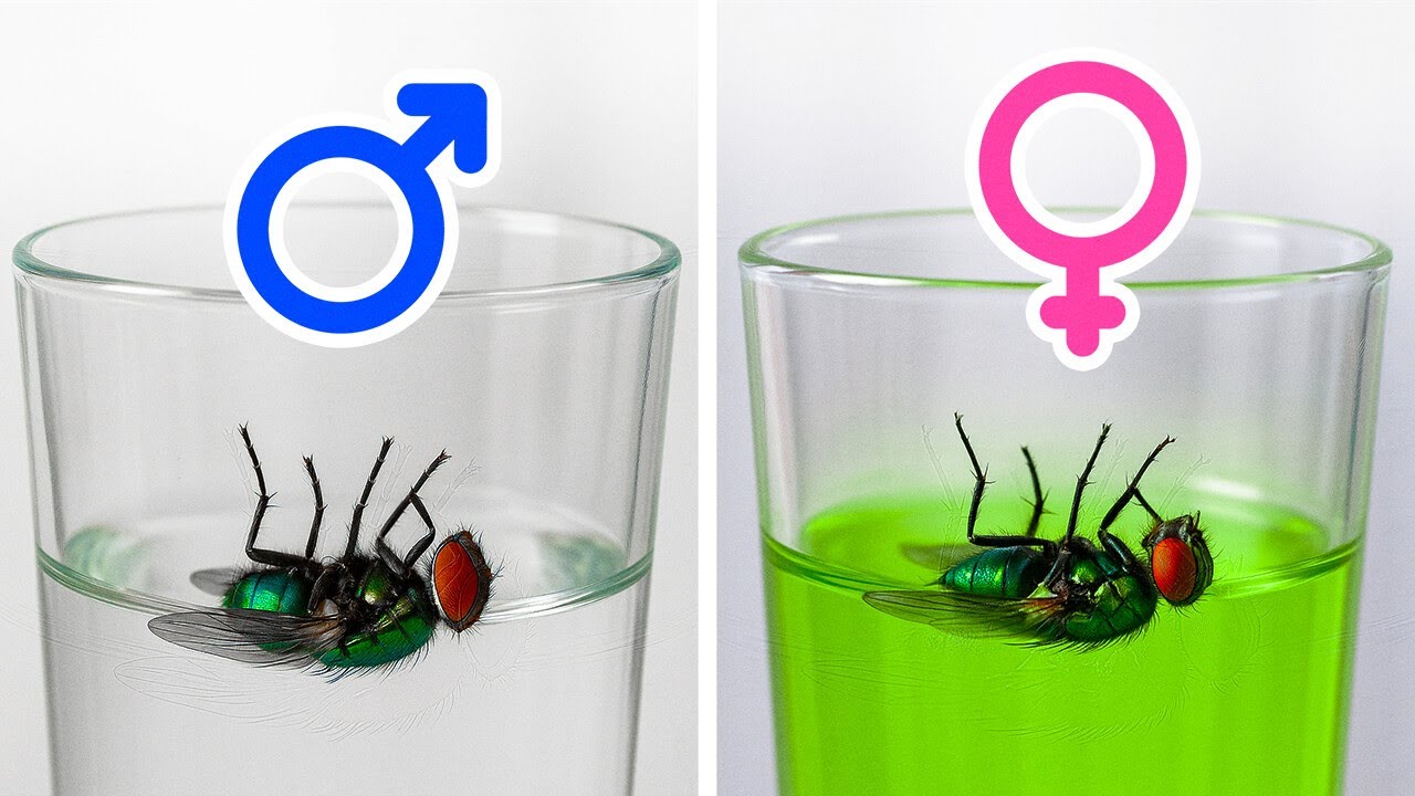 Facts That Make You Go &lsquo;Huh&rsquo; and Then Google for an Hour