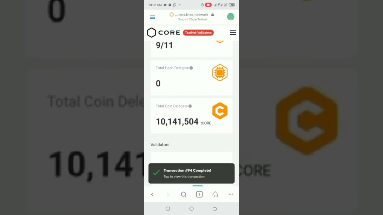 HOW TO CREATE/ SETUP/ BECOME SATOSHI CORE VALIDATOR (CORE TESTNET)