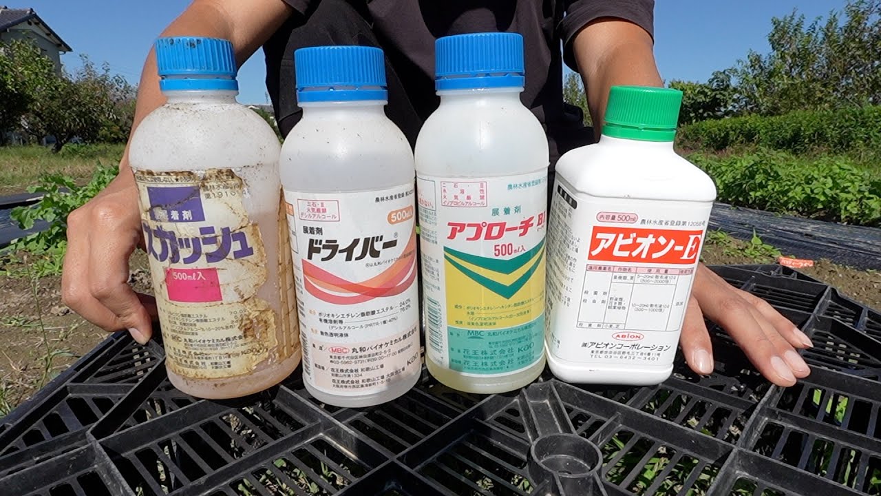 【病害虫予防】農薬に絶対入れてほしい展着剤　安いのと高いのは何が違うのか？