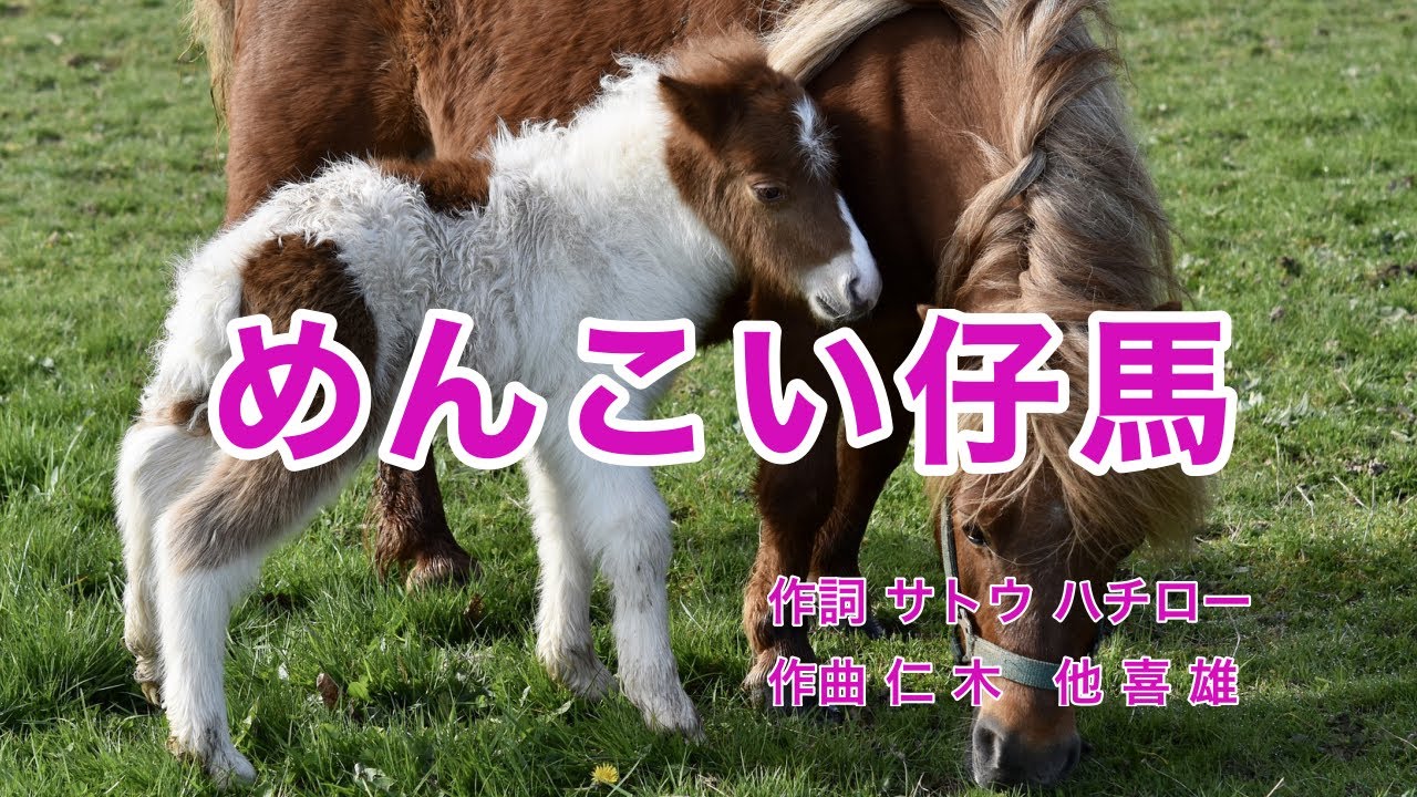 めんこい仔馬｜童謡｜歌詞付き｜ぬれた仔馬のたてがみを～月が出た出たまんまるだ