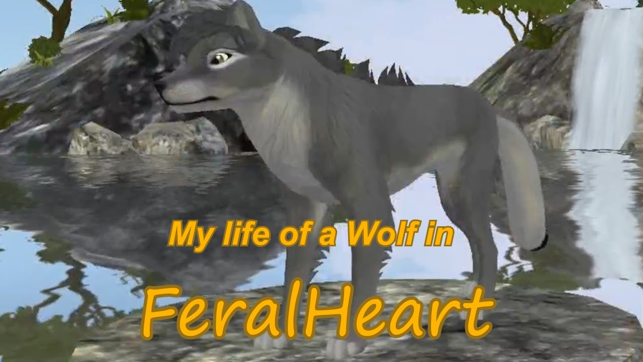 FeralHeart - A life of a Wolf in FH - Part 1 - Someone adopt me please! Dx