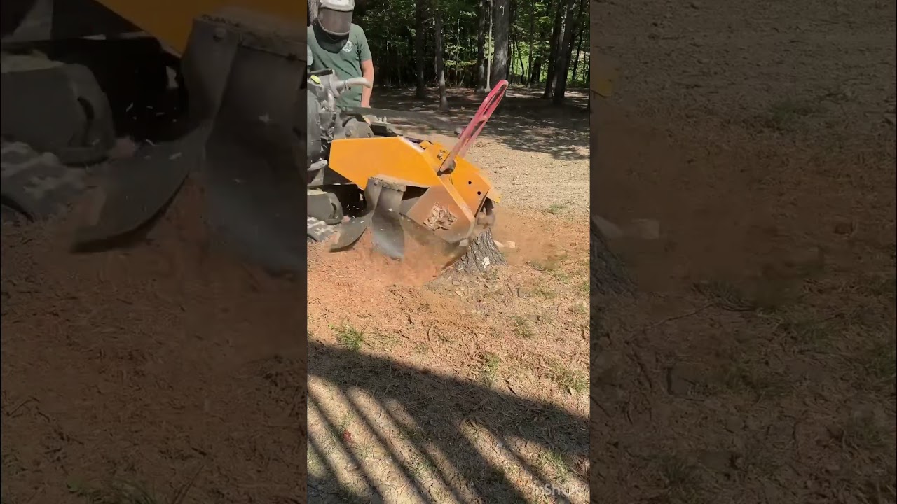 Stump Removal #BSG
