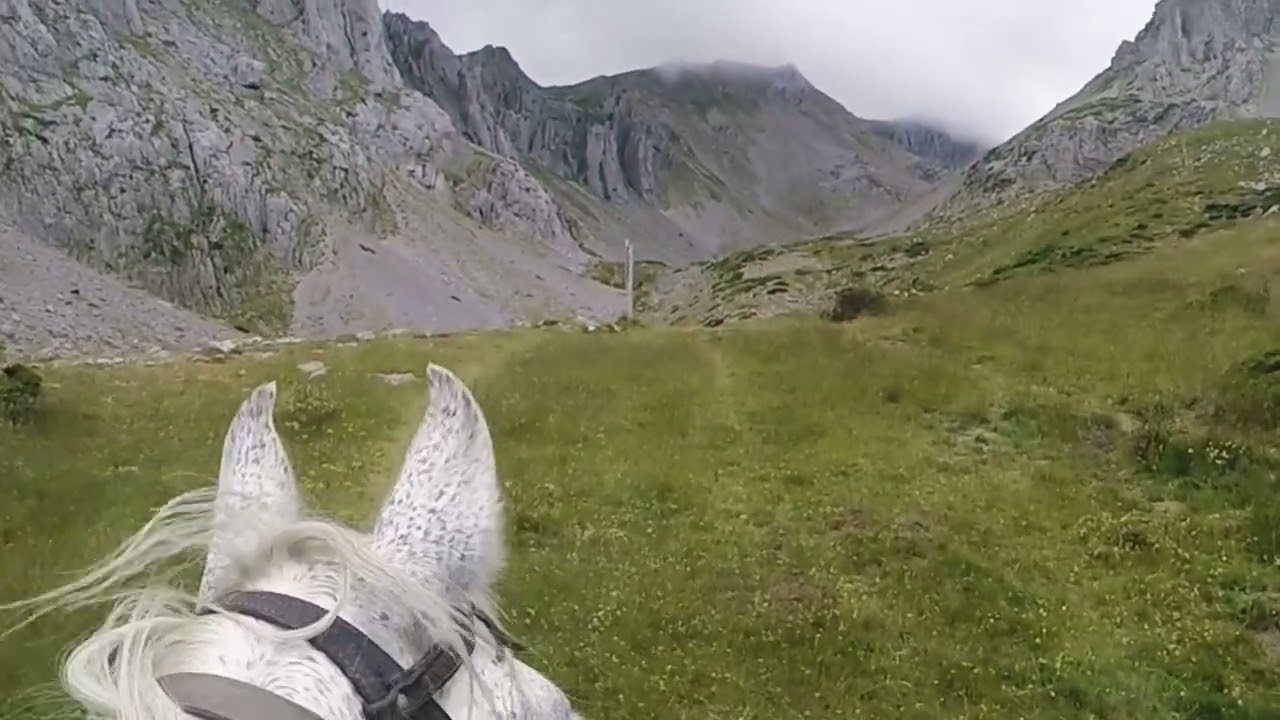 HORSE TRAIL
