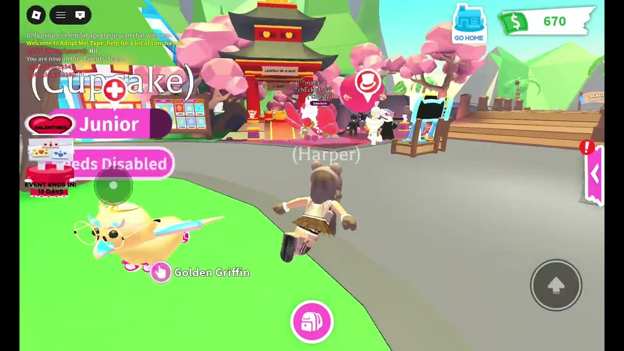 Playing adopt me.**nobody wanted to trade with me
