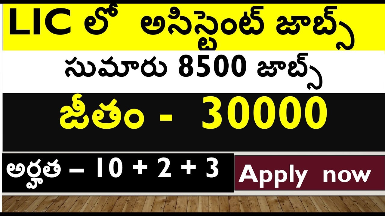LIC ASSISTANT JOBS IN TELUGU || 8500 + VACANCIES