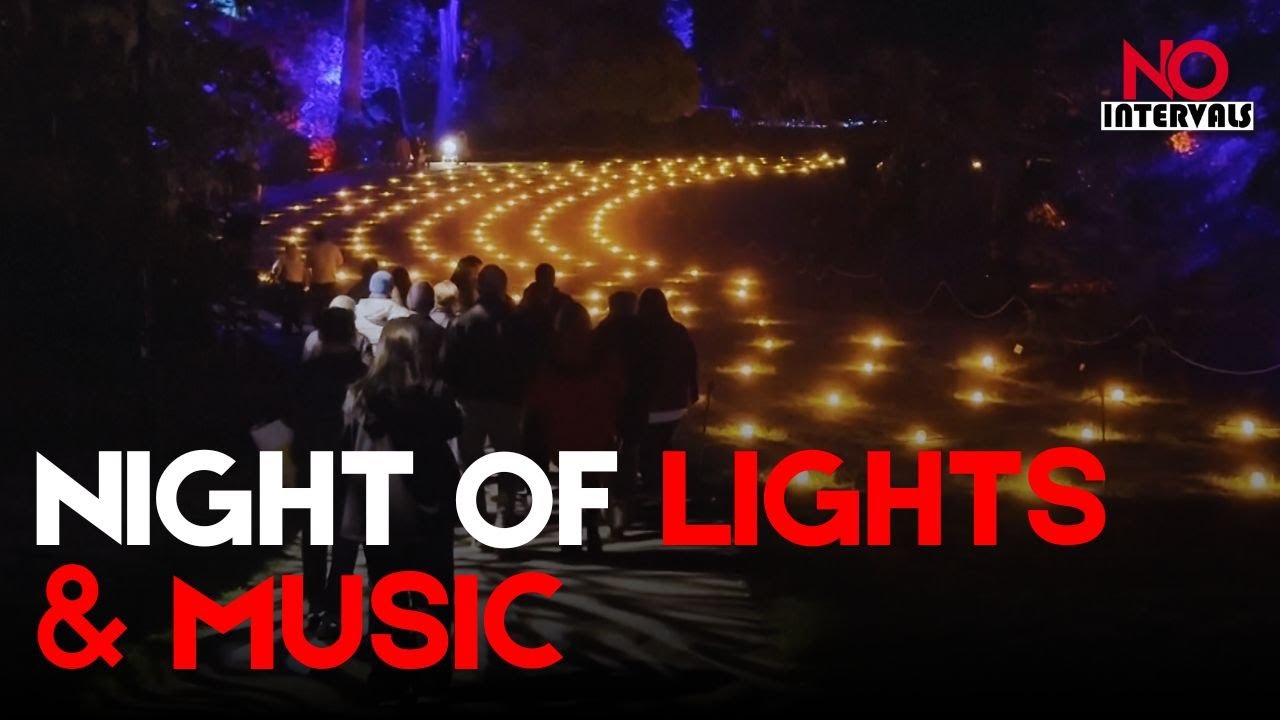 Световая инсталляция Lightscape осветила парк Голден Гейт в Сан-Франциско | Новости развлечений