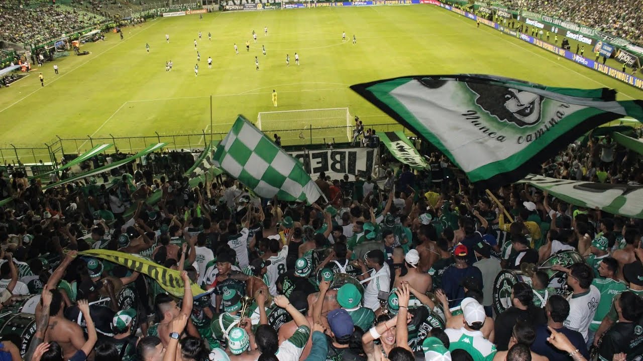 Coros Frente Radical Verde | Deportivo Cali 1-1 Fortaleza | Santiago Del Cali