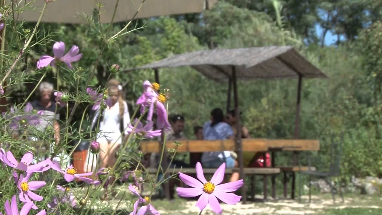 Káptalantóti piac