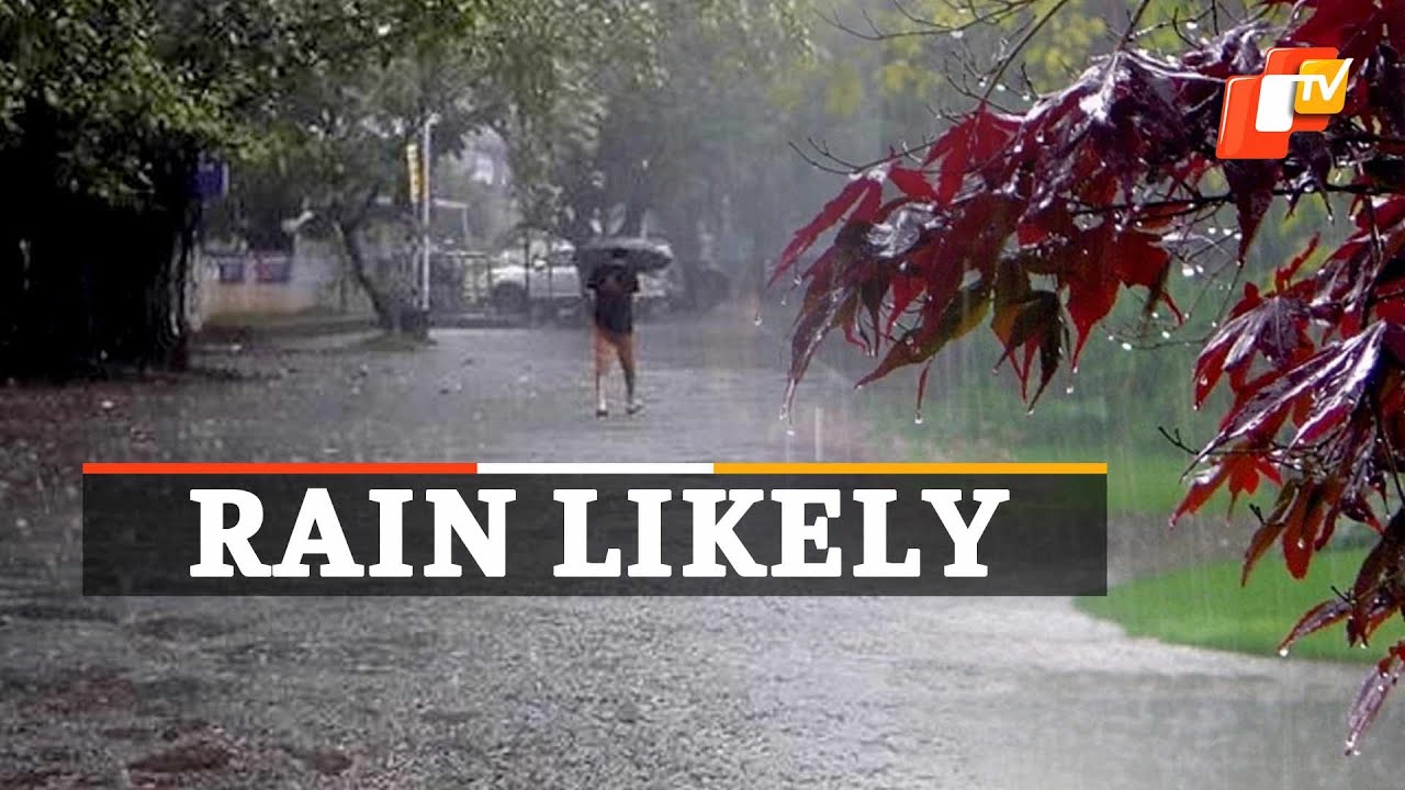 Weather Update: IMD On Rainfall In Odisha