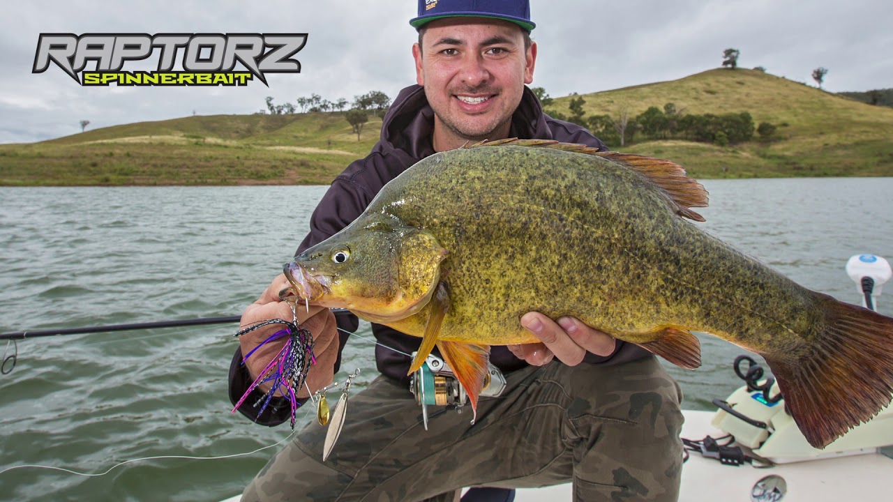 Raptorz Spinnerbaits in Action at Windamere Dam!