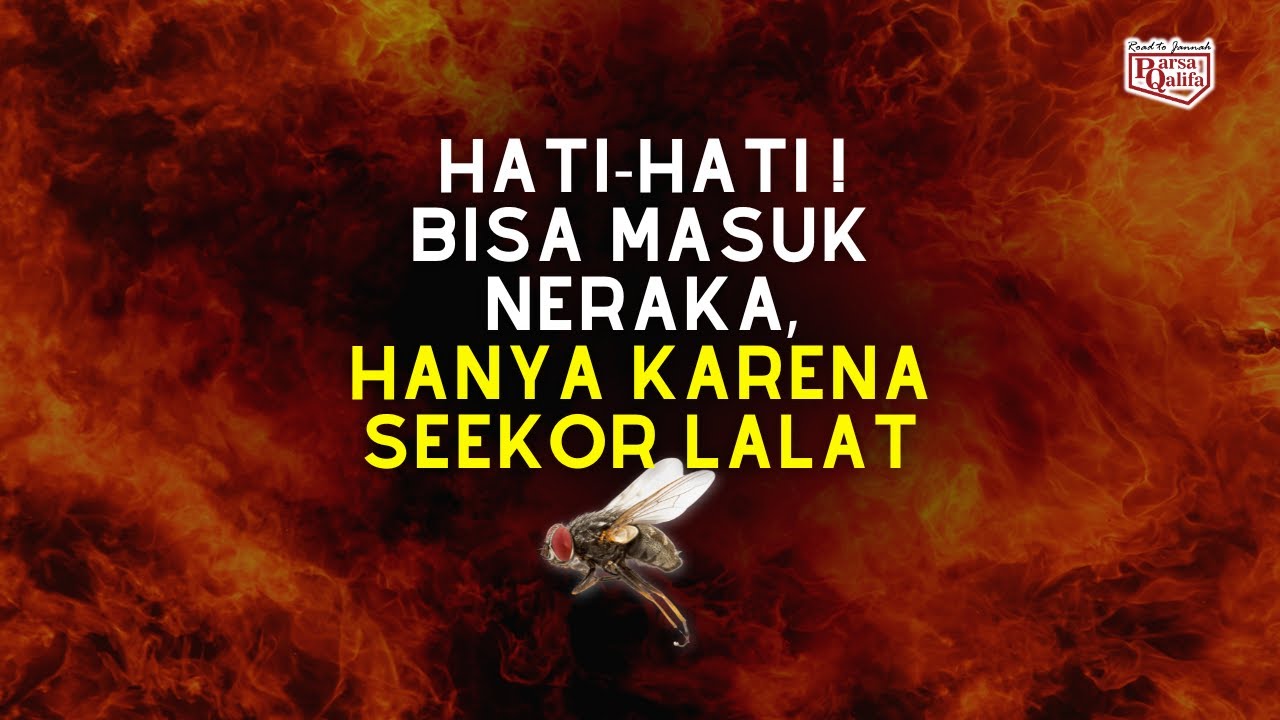 Kisah 2 Orang Masuk Surga dan Neraka Karena Seekor Lalat