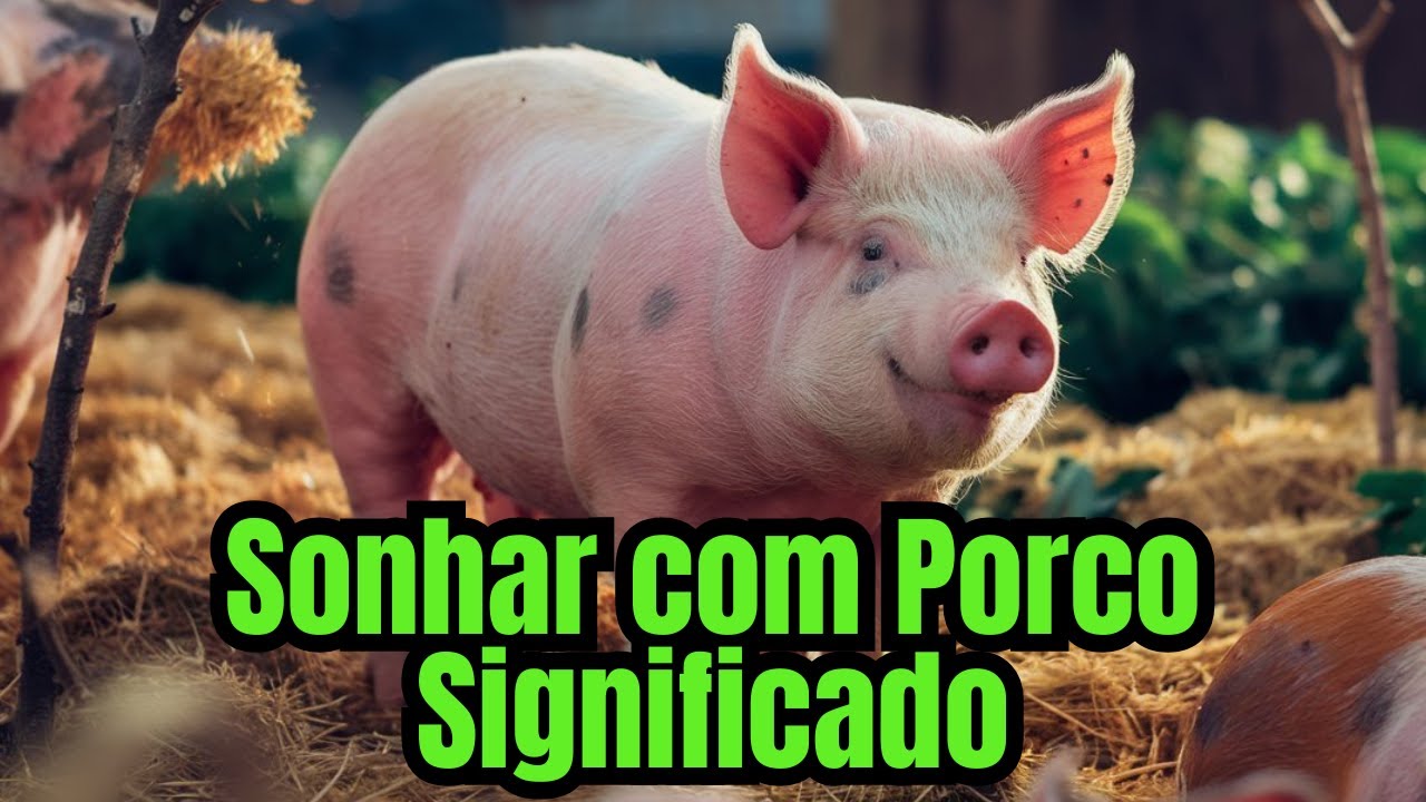 Sonhar Com Porco Significado! O Sonho Era Com Porco Bravo? Sonho Da Sorte? Entenda!