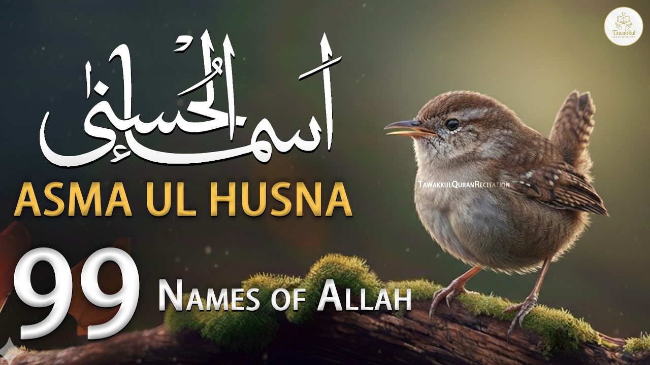 99 Names of ALLAH ASMAUL HUSNA اسماء الله الحسنی in Peaceful Voice By Qari Alaa Aqel