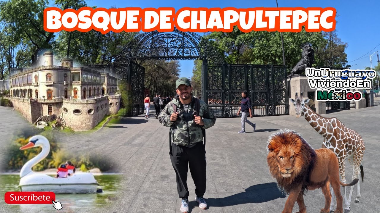 Bosque de Chapultepec. Todo lo que puedes hacer en un Día. (CDMX) #mexico #chapultepec #extranjero