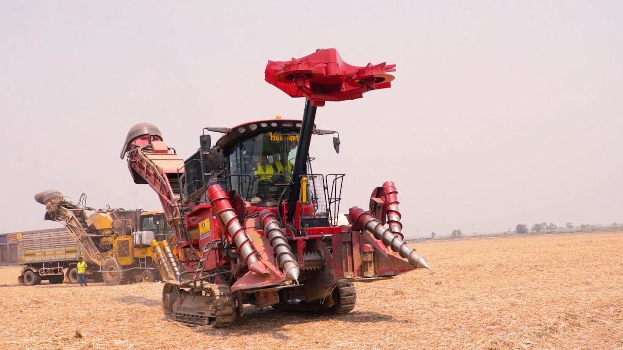 Case IH Sugarcane Harvesree