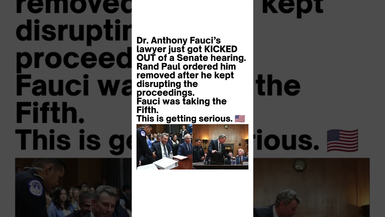 Rand Paul Senate Hearing Goes Viral 🚨
