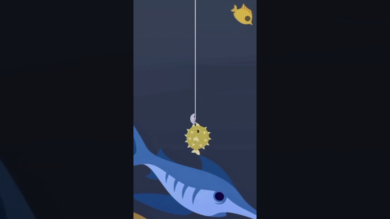 SWORDFISH | Cat Goes Fishing (Jak złapać?) 