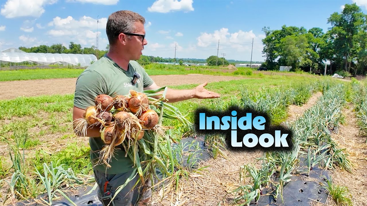 How This Small Ohio Farm Does Big Business