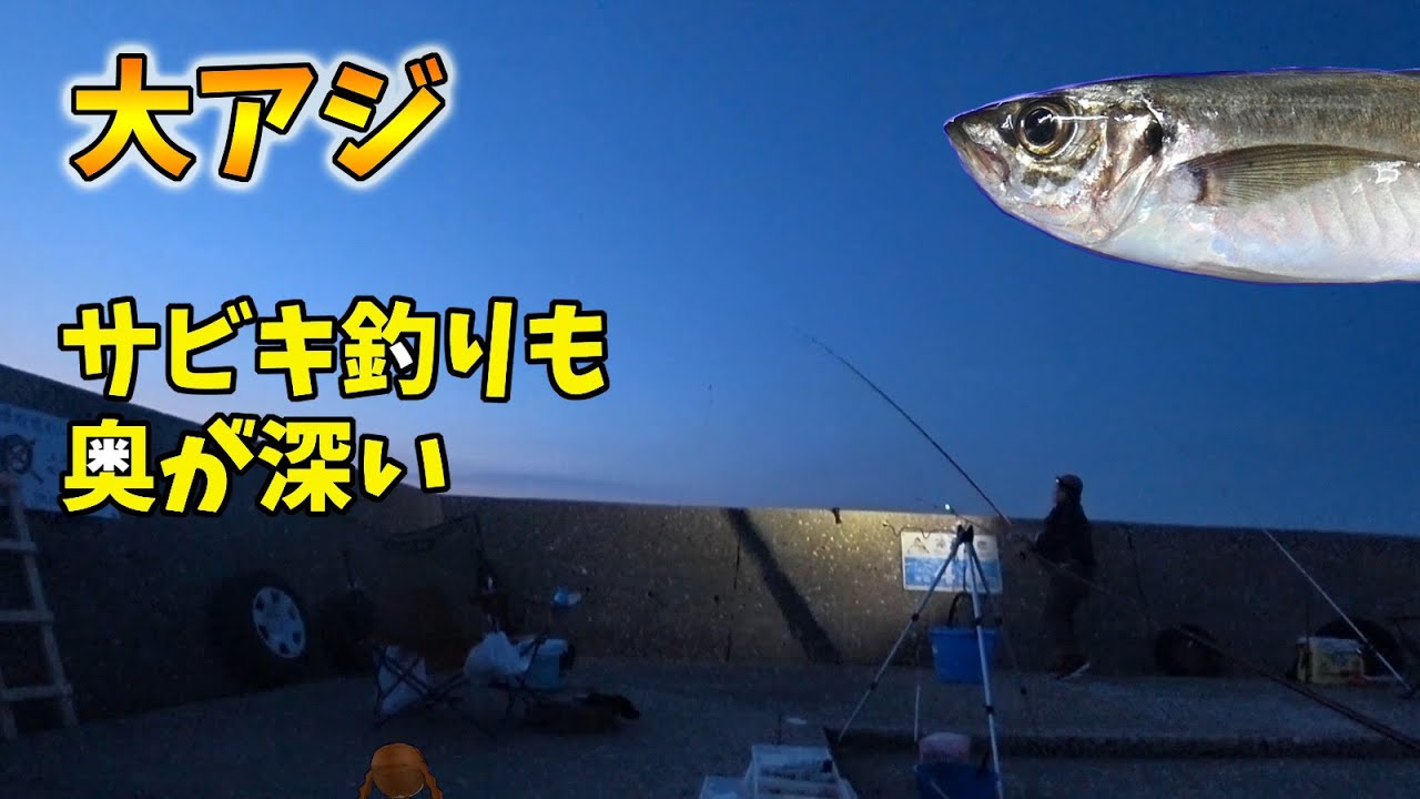 大アジサビキ釣りも奥が深い【前編】
