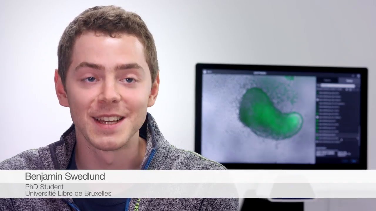 3D Cell Models &ndash; Education
