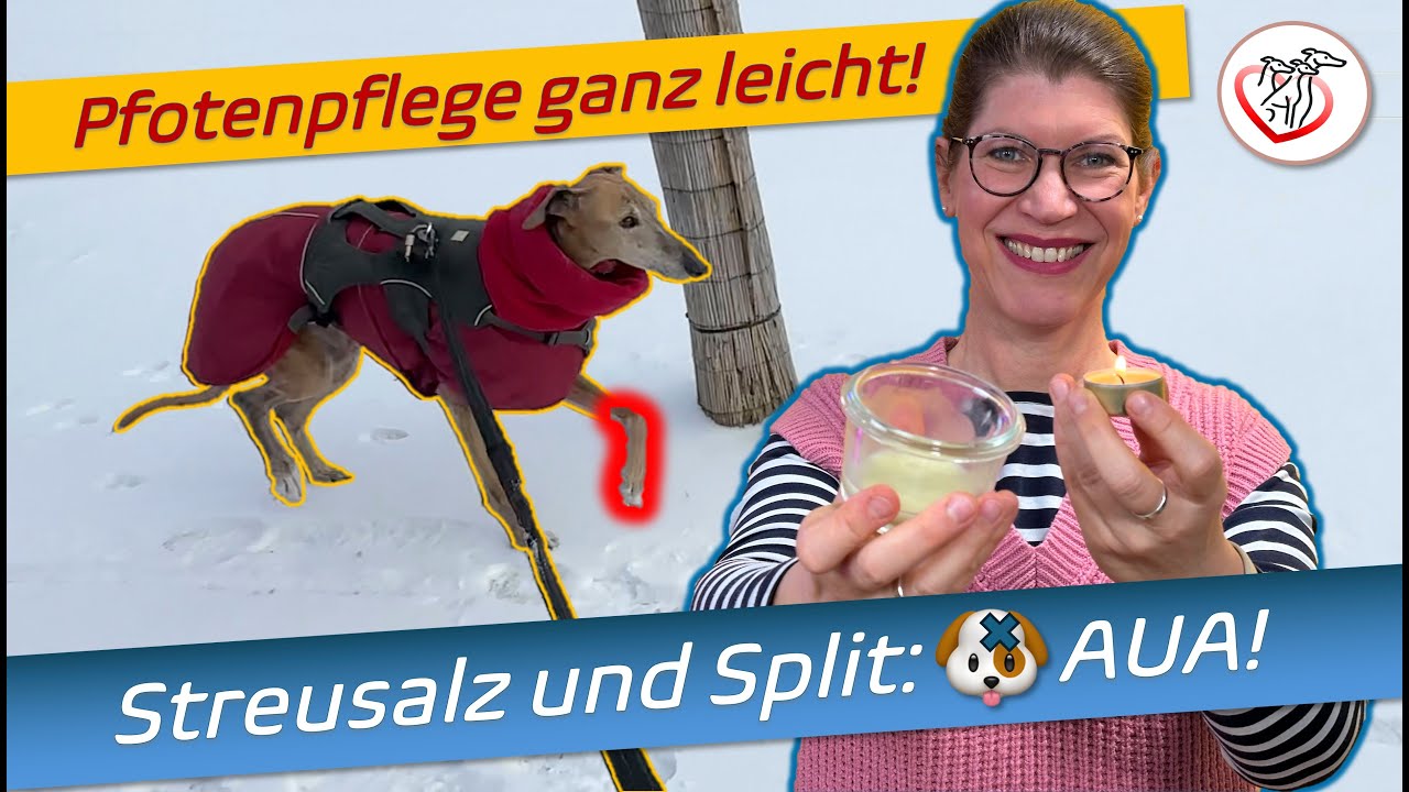 Für kalte Tage: Pfötchenpflege mit Hausmitteln schnell & einfach selber machen