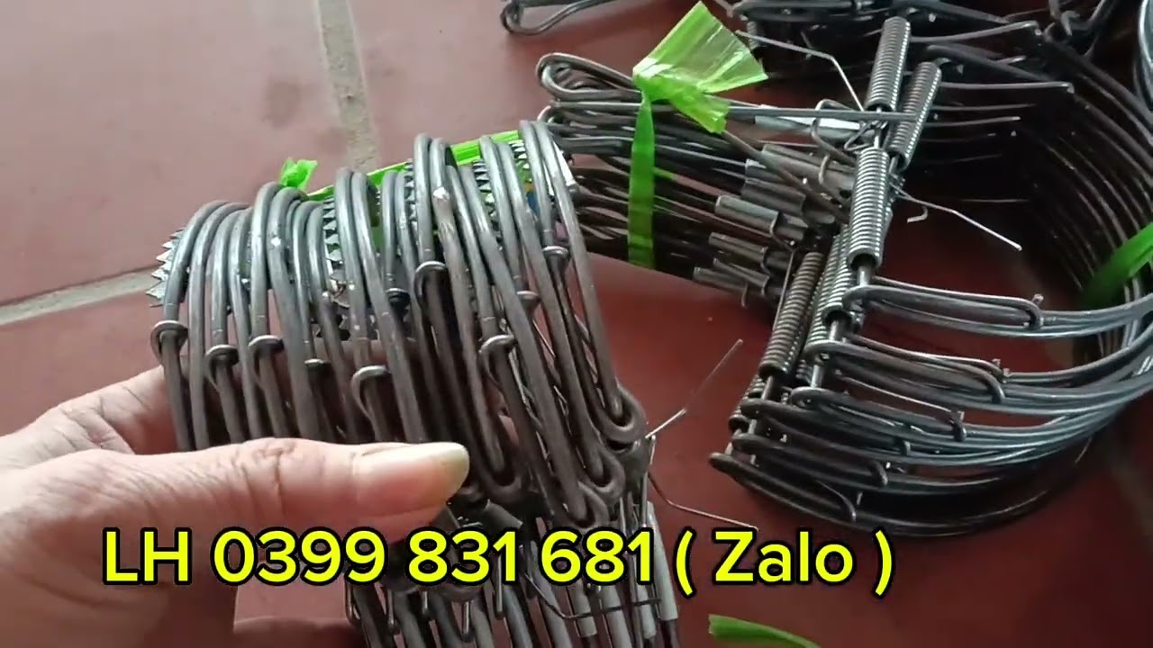 Đủ bộ các mẫu cạm kiềng 9cm,12,14,16,18,22,25,27,30,33cm, bán nguyệt nhỡ, đại #cambaychuot