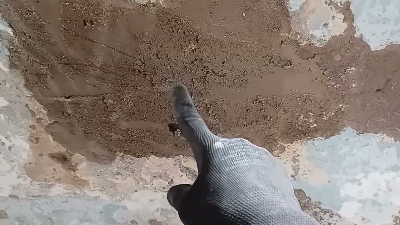 Como aplicar VEDAPREN PAREDE, em paredes saturadas.